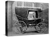 Florence Nightingale's Carriage-null-Stretched Canvas