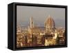 Florence Skyline, Tuscany, Italy-Roy Rainford-Framed Stretched Canvas
