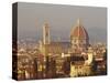 Florence Skyline, Tuscany, Italy-Roy Rainford-Stretched Canvas