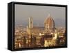 Florence Skyline, Tuscany, Italy-Roy Rainford-Framed Stretched Canvas