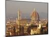 Florence Skyline, Tuscany, Italy-Roy Rainford-Mounted Photographic Print