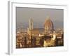 Florence Skyline, Tuscany, Italy-Roy Rainford-Framed Photographic Print