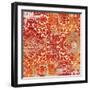 Florence Spa 2-Devon Ross-Framed Art Print