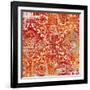 Florence Spa 2-Devon Ross-Framed Art Print