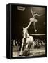 Florence Stephenson at Bertram Mills' Circus, c.1948-1949-null-Framed Stretched Canvas