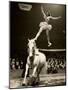 Florence Stephenson at Bertram Mills' Circus, c.1948-1949-null-Mounted Giclee Print