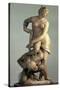 Florence Victorious over Pisa-Giambologna-Stretched Canvas