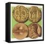 Florentine Gold Coins from Renaissance Italy-Pat Nicolle-Framed Stretched Canvas