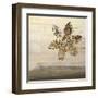 Florentine II-Simon Addyman-Framed Art Print