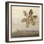 Florentine II-Simon Addyman-Framed Art Print