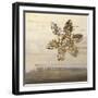 Florentine II-Simon Addyman-Framed Art Print