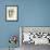 Florentine Iris, Iris Florentina-James Sowerby-Framed Giclee Print displayed on a wall