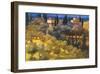 Florentine Landscape-Philip Craig-Framed Giclee Print