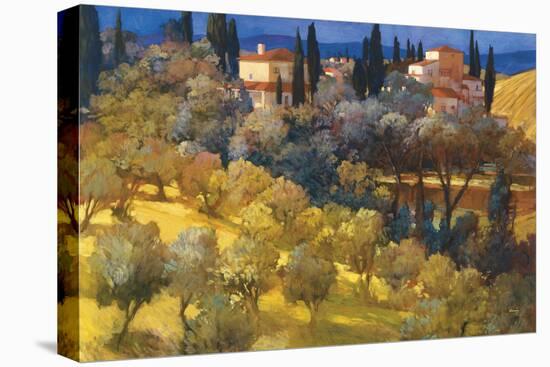 Florentine Landscape-Philip Craig-Stretched Canvas