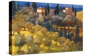 Florentine Landscape-Philip Craig-Stretched Canvas