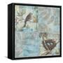 Florentine Songbird I-Paul Brent-Framed Stretched Canvas