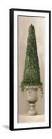 Florentine Topiary II-Welby-Framed Art Print