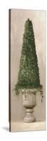 Florentine Topiary II-Welby-Stretched Canvas