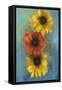 Flores, 2021 (Oil on Canvas)-Victoria Montesinos-Framed Stretched Canvas