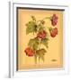 Flores Colgantes IV-L^ Romero-Framed Art Print