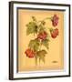 Flores Colgantes IV-L^ Romero-Framed Art Print