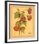 Flores Colgantes IV-L^ Romero-Framed Art Print