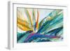 Flores Colores-Suzanne Wilkins-Framed Art Print