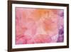 Flores Compuestas 1-Moises Levy-Framed Photographic Print