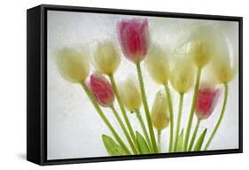 Flores Congeladas-Moises Levy-Framed Stretched Canvas