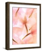 Flores Congeladas-Moises Levy-Framed Photographic Print