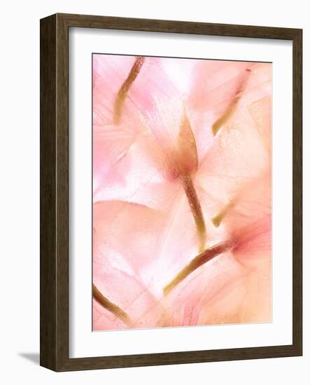 Flores Congeladas-Moises Levy-Framed Photographic Print