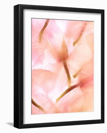 Flores Congeladas-Moises Levy-Framed Photographic Print