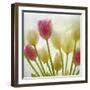 Flores Congeladas-Moises Levy-Framed Photographic Print