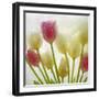 Flores Congeladas-Moises Levy-Framed Photographic Print