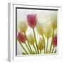 Flores Congeladas-Moises Levy-Framed Photographic Print