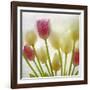 Flores Congeladas-Moises Levy-Framed Photographic Print