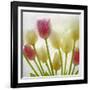 Flores Congeladas-Moises Levy-Framed Photographic Print