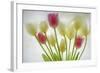 Flores Congeladas-Moises Levy-Framed Photographic Print