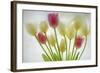 Flores Congeladas-Moises Levy-Framed Photographic Print