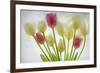 Flores Congeladas-Moises Levy-Framed Photographic Print