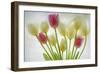 Flores Congeladas-Moises Levy-Framed Photographic Print