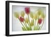 Flores Congeladas-Moises Levy-Framed Photographic Print