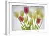 Flores Congeladas-Moises Levy-Framed Photographic Print