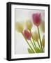 Flores Congeladas-Moises Levy-Framed Photographic Print