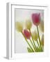 Flores Congeladas-Moises Levy-Framed Photographic Print