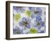 Flores Congeladas-Moises Levy-Framed Giclee Print