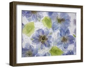 Flores Congeladas-Moises Levy-Framed Giclee Print