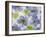 Flores Congeladas-Moises Levy-Framed Giclee Print