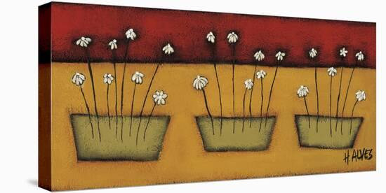 Flores du Campo-H Alves-Stretched Canvas