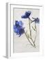 Flores en Hielo VI-Moises Levy-Framed Premium Giclee Print